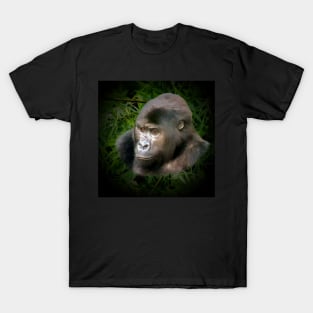 Gorilla portrait T-Shirt